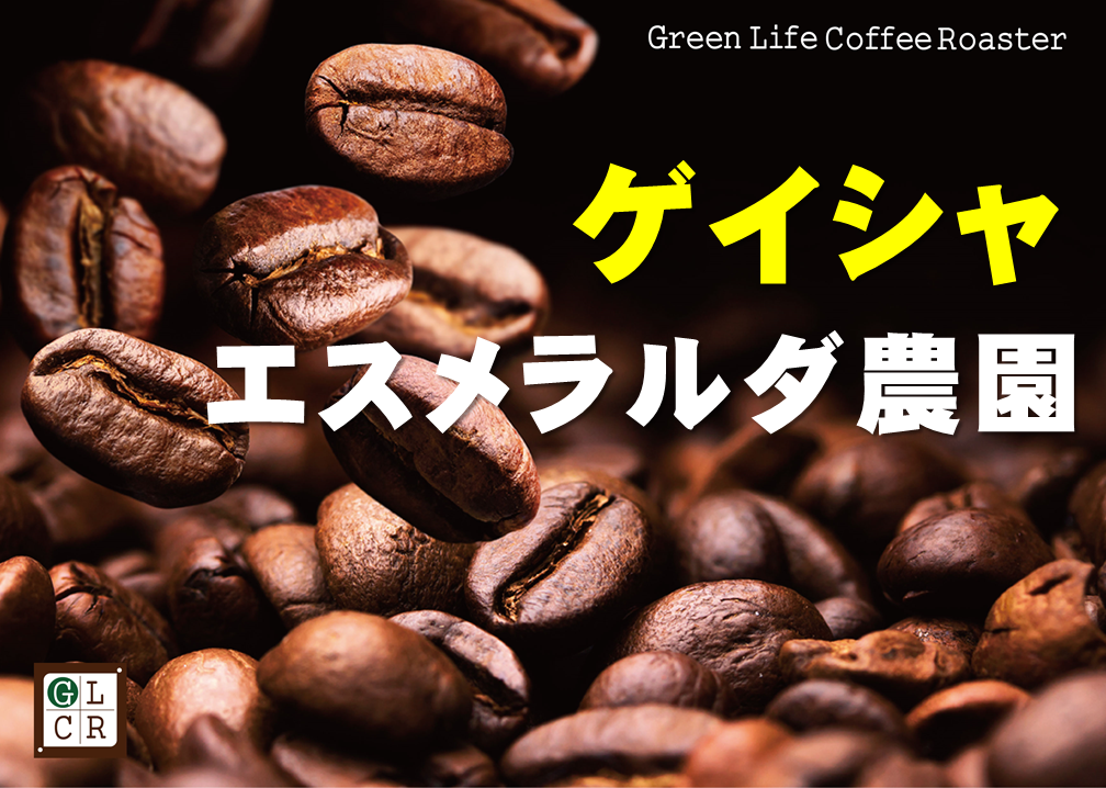 【COFFEE ROBOT】パナマゲイシャ150g COFFEE ROBOT】パナマゲイシャ150g パナマゲイシャ（100g） | GLCR